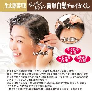 生え際専用ぽんぽん白髪かくし (パフ型ペンタイ...の詳細画像1