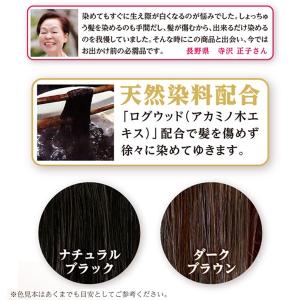 生え際専用ぽんぽん白髪かくし (パフ型ペンタイ...の詳細画像3