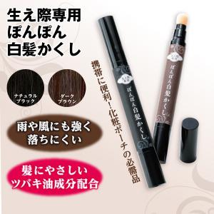 生え際専用ぽんぽん白髪かくし (パフ型ペンタイ...の詳細画像4