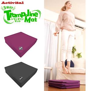 DANNO ダンノ ジョイントGYMMAT500 D1518 : QUOLI - 通販 - Yahoo