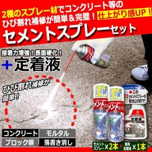 ひび割れ補修の仕上がりが違う!セメントスプレー...の詳細画像1