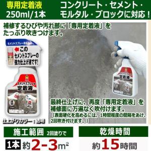 ひび割れ補修の仕上がりが違う!セメントスプレー...の詳細画像3