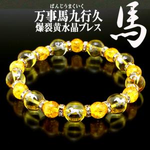 金運財運が馬九行く うまくいく 爆裂黄水晶ブレス...の商品画像