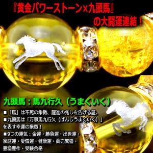 金運財運が馬九行く うまくいく 爆裂黄水晶ブレ...の詳細画像2