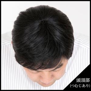 送料無料E.G.Oリアルファイバーウィッグ/メ...の詳細画像2