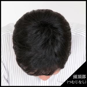 送料無料E.G.Oリアルファイバーウィッグ/メ...の詳細画像2