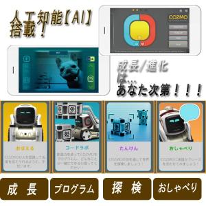 premium-pony_iskw-czm_4 premium-pony_iskw-czm_4