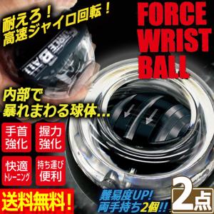 2点 ダイナビー パワーボール ローラーボール...の詳細画像1