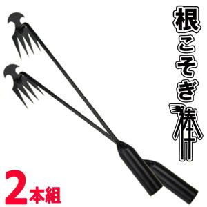 2本組 釘抜きのようにラクラク抜けるロング50cm！雑草根こそぎ棒2本組 テコの原理 固い土壌 蔓延る根っ子 スチール製 庭 花壇 耕具 草取り