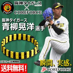 コンディショニングアクセサリー 阪神タイガース...の詳細画像1