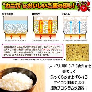 NEWかまど炊きのようなマイコン炊飯器0.5合...の詳細画像4