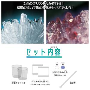 触れる図鑑「クリスタル育成研究所」クリスタルの...の詳細画像3