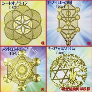 premium-pony_lep-enc_1