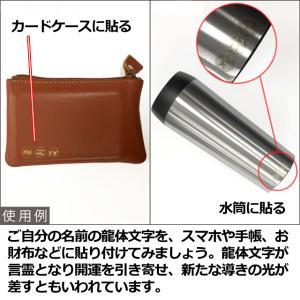 強いエネルギー波動を宿す神秘な文字 龍体文字 ...の詳細画像5