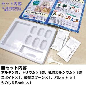 夏休み 自由研究 不思議実験「つかめる水」セッ...の詳細画像3