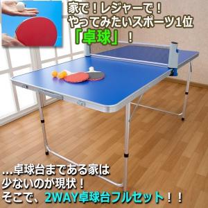 広げれば卓球台!ワイドテーブル!2WAY卓球台...の詳細画像1