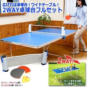 広げれば卓球台!ワイドテーブル!2WAY卓球台...の詳細画像5