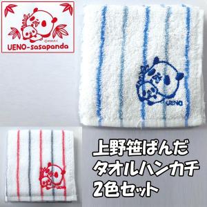 premium-pony_mokk-04