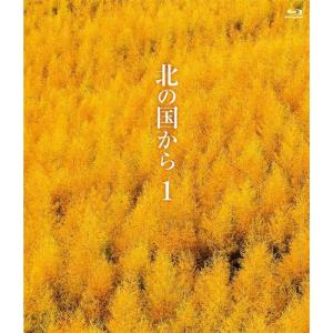 北の国から DVD 全巻 （連続ドラマ1-12 + ドラマスペシャル「83 冬