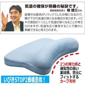 睡眠 寒暖差 体調 いびきSTOP「イビピタン...の詳細画像4