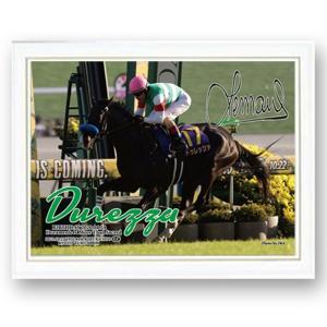 イクイノックス」2022年有馬記念Ver.ジグソーパズル500ピース