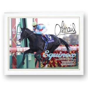 「イクイノックス」2022年有馬記念Ver.ジグソーパズル500ピース（木製フレームセット）  (競馬 競走馬 38×53cm 有馬記念 2022年度代表馬 中央競馬)｜premium-pony