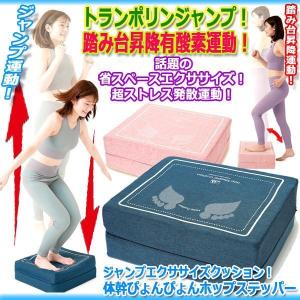 パルストレーナー3DEMS ホーマーイオン研究所 3dems - HOMER ION