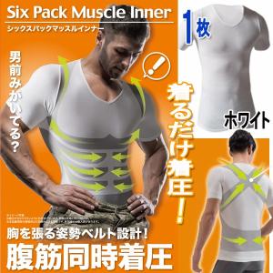 トランクソリューション 姿勢サポート 矯正 腰痛 腰部負担軽減 体幹