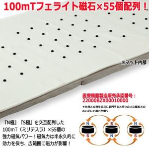 爆買 100mTフェライト磁石55個配列!医療...の詳細画像3