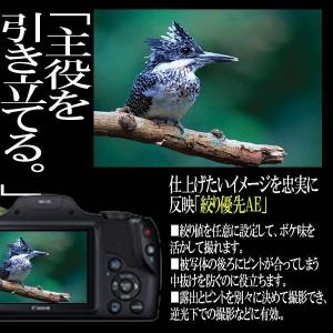 キヤノンPowerShot SX530 HS［カメラ本体のみ］( Canon 画素 撮影 モニター 手ブレ 光学 Wi-Fi NFC キャノン)  :TEL-10:プレミアムポニー - 通販 - Yahoo!ショッピング