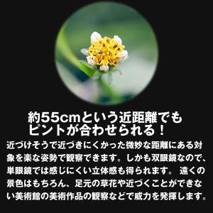 ビクセン双眼鏡アットシックス(at6)M6×1...の詳細画像1