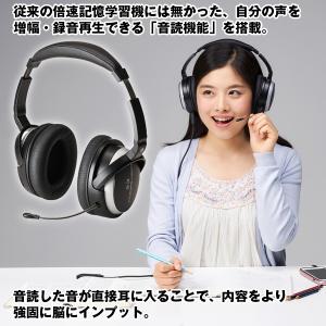 premium-pony_wr-kok_1