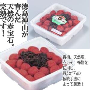 premium-pony_yism-k12409_1