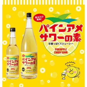 中野BC パインアメサワーの素 ギフト プレゼント リキュール パインアメ 600ml｜premium-sake