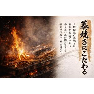 【明神水産】鰹のたたき 明神丸 カツオ 藁焼き...の詳細画像4