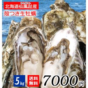 殻つき生牡蠣 5キロセット 北海道釧路町 仙鳳趾産 サイズ色々 30〜50個目安 北の味倶楽部 代引き不可