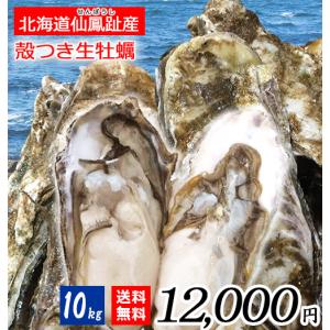 殻つき生牡蠣 10キロセット 北海道釧路町 仙鳳趾産 サイズ色々 60〜80個目安 北の味倶楽部 代引き不可