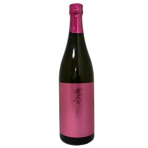 十四代 秘蔵乙焼酎 720ml 高級桐箱 ギフト 高木酒造 東北 山形県 米