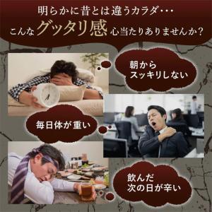 珍味 おつまみ オルニチン しじみ 1袋でシジ...の詳細画像4