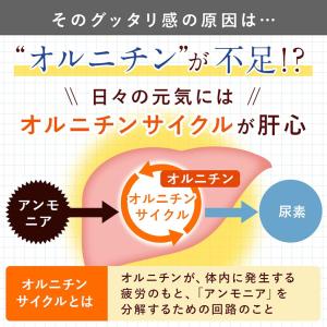 珍味 おつまみ オルニチン しじみ 1袋でシジ...の詳細画像5
