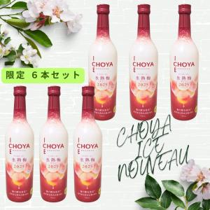 唐宋紹禮 幻し 30年熟成 紹興酒 青壺花彫 500mlX 1本（1本売り