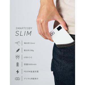CIO 最大20W入出力 超軽量108g 極薄...の詳細画像1