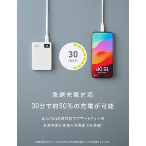 CIO 最大20W入出力 超軽量108g 極薄...の詳細画像3