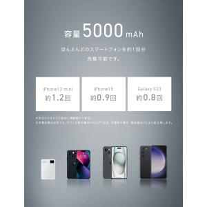 CIO 最大20W入出力 超軽量108g 極薄...の詳細画像4