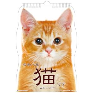 アクティブコーポレーション 2026 カレンダー 壁掛け 猫です 26ACL-67 2026年 1月始まり