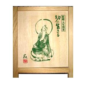 ユーキャン 瀬戸内寂聴 人生問答 切に生きる CD 全12枚