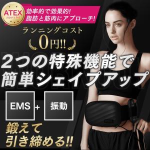 メタボランS  （送料無料） RKB 今日感テレビ ダイエット器具 エクササイズ 振動 EMS 機器 簡単操作 自動オフタイマー プレゼント ポイント消化
