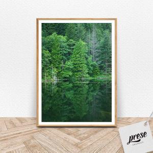 針葉樹林と湖 カナダ ブローム湖 2L A5 A4 A3 B3 A2 B2 A1 サイズ 大判 おしゃれ 森林 自然 風景 海外 写真 インテリア｜preseart