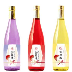 昇進祝に贈る本格焼酎 新潟県産酒粕焼酎 お祝い...の詳細画像2