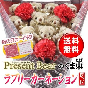 母の日 お母さん ありがとう カーネーション くま束